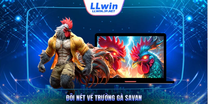Đôi nét về trường gà Savan